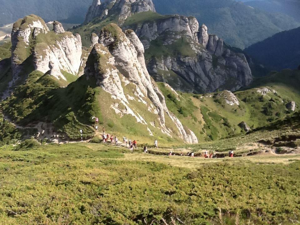 Vila Bratocea Cheia  Exteriör bild